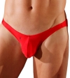 Joe Snyder Bulge Full Bikini